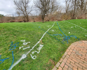 Spray paint markings on a lawn after a private utility locating service was done.