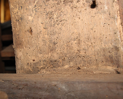 Wood beams that have been damaged by wood destroying insects