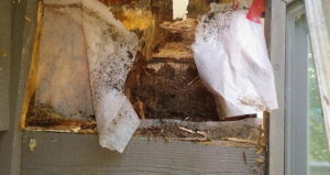 Severely rotted wood framing behind siding, caused by a missing kick out flashing at the roof.