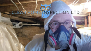 Home Inspector Arthur Duhaime inspecting a crawlspace