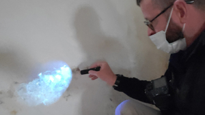 Home Inspector Arthur Duhaime uses a UV light to aid in finding moisture intrusion.