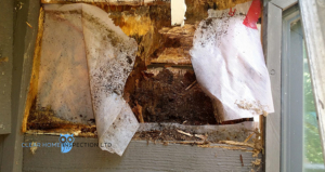 Rotted wood framing caused by a missing kick out flashing