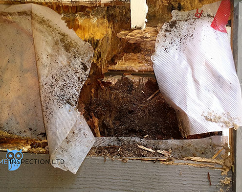 Rotted wood framing caused by a missing kick out flashing